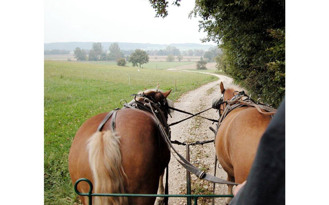 Photo of Others in Unterallgau