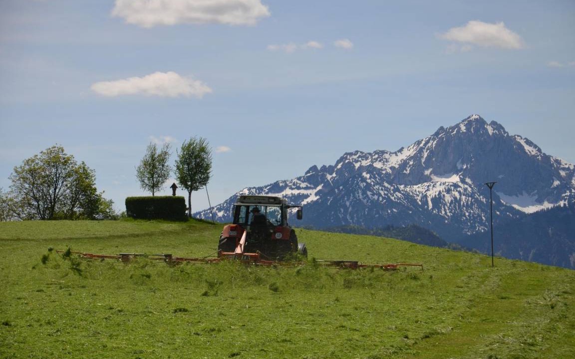 Photo of Others in Rieden am Forggensee