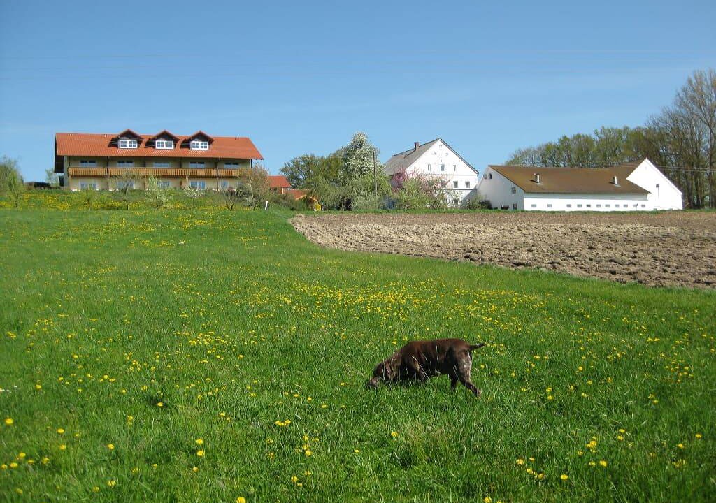 Photo of Others in Rotthalmuenster