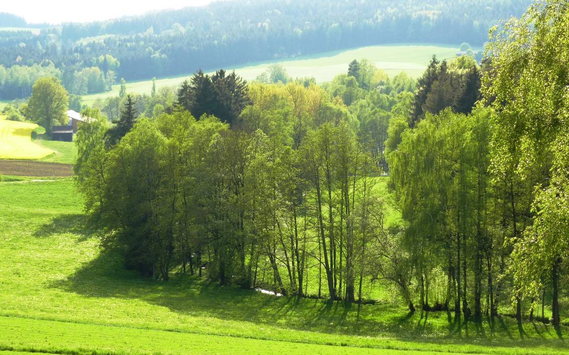 Photo of Others in Stammbach