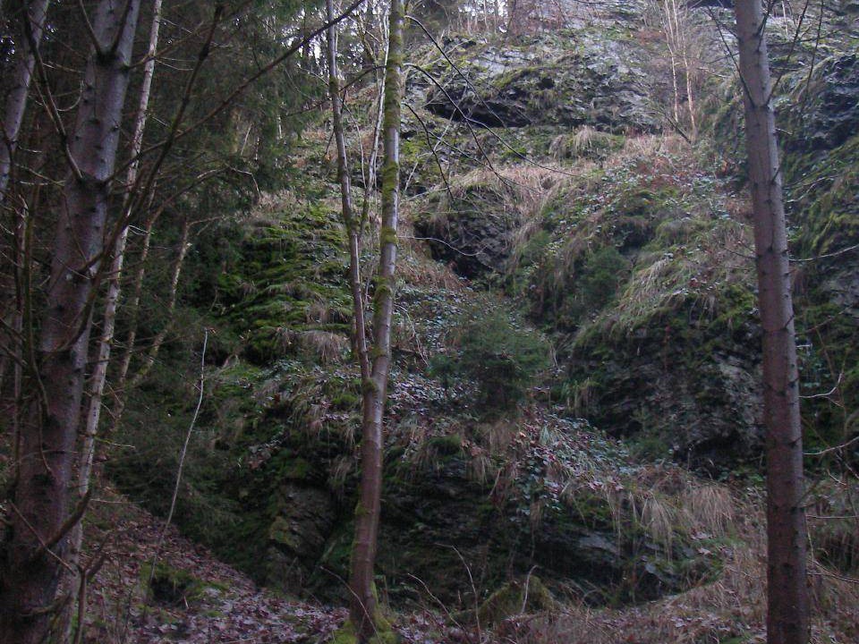 Photo of Others in Elbersreuth