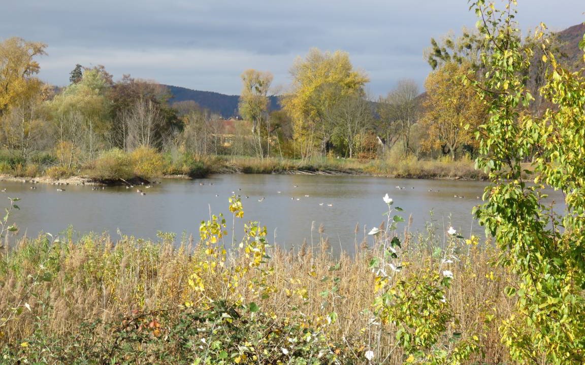 Photo of Others in Grossheubach