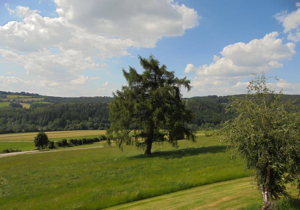 Photo of Others in Tannesberg
