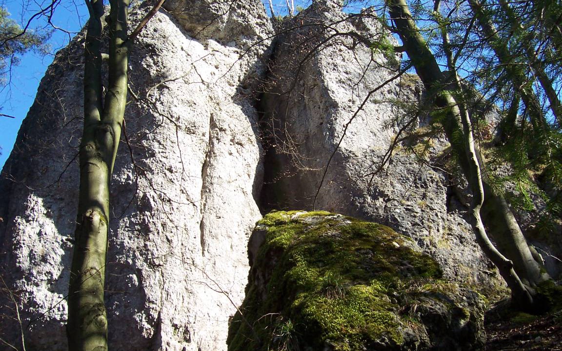 Photo of Others in Hirschbach