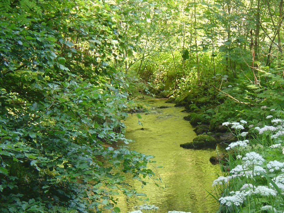 Photo of Others in Bernried