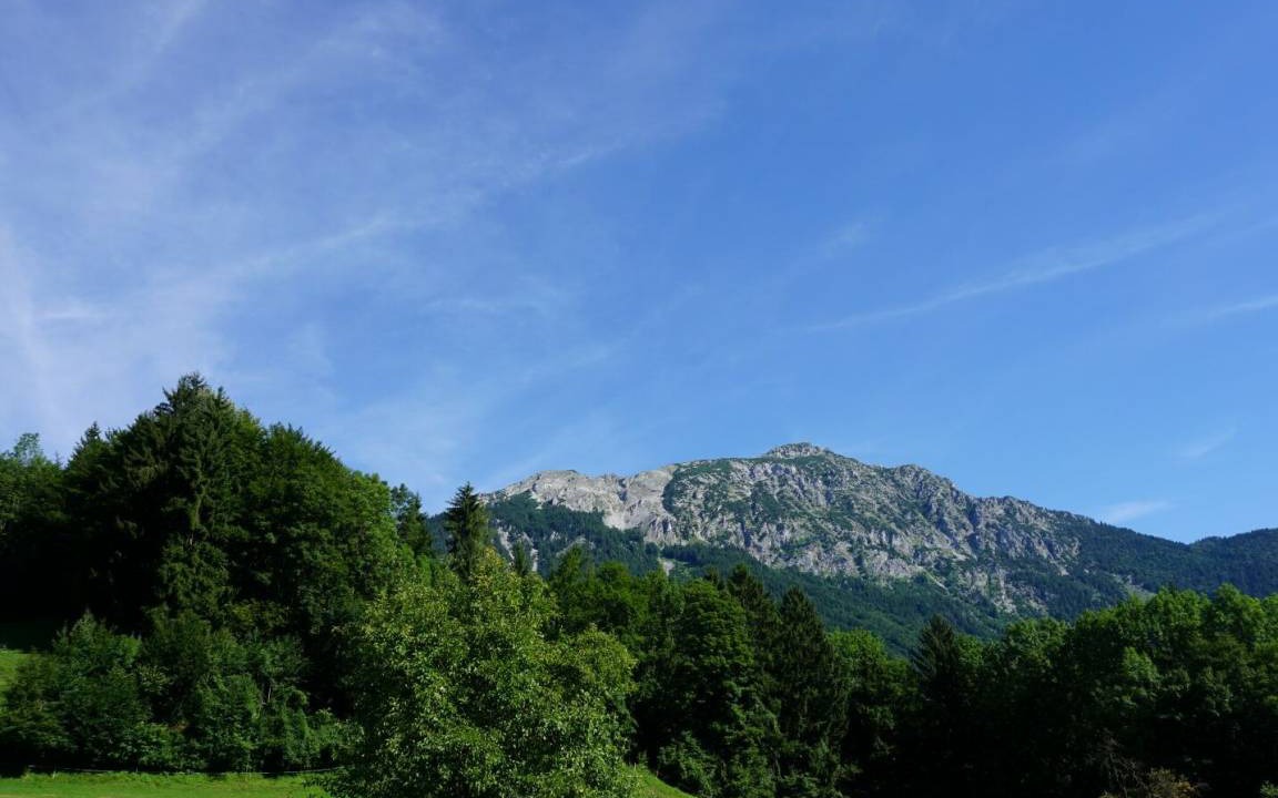 Photo of Others in Bad Reichenhall