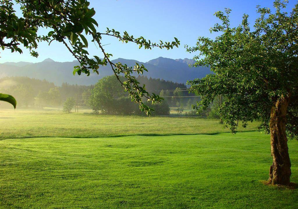 Photo of Others in Ofterschwang