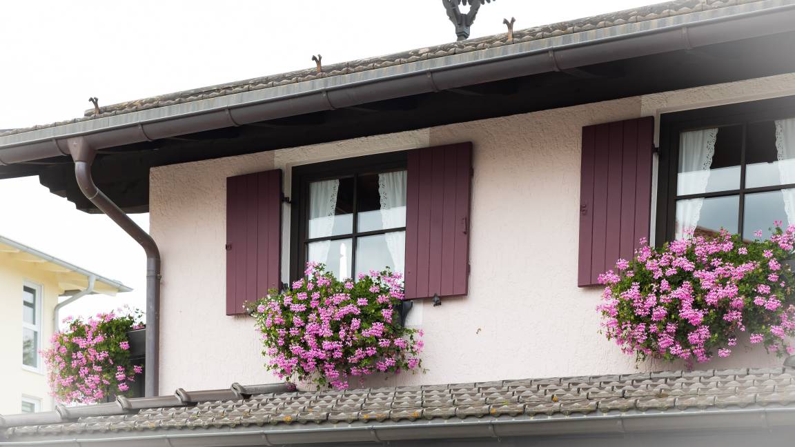 Photo of Others in Bernau am Chiemsee