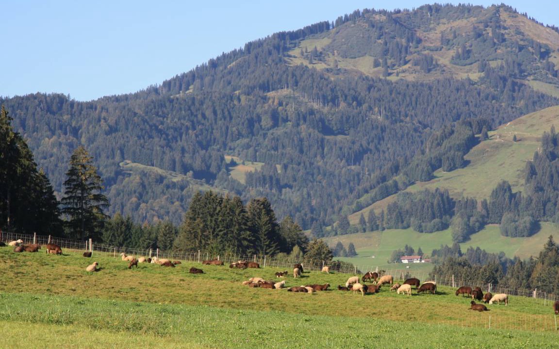Photo of Others in Verwaltungsgemeinschaft Hornergruppe