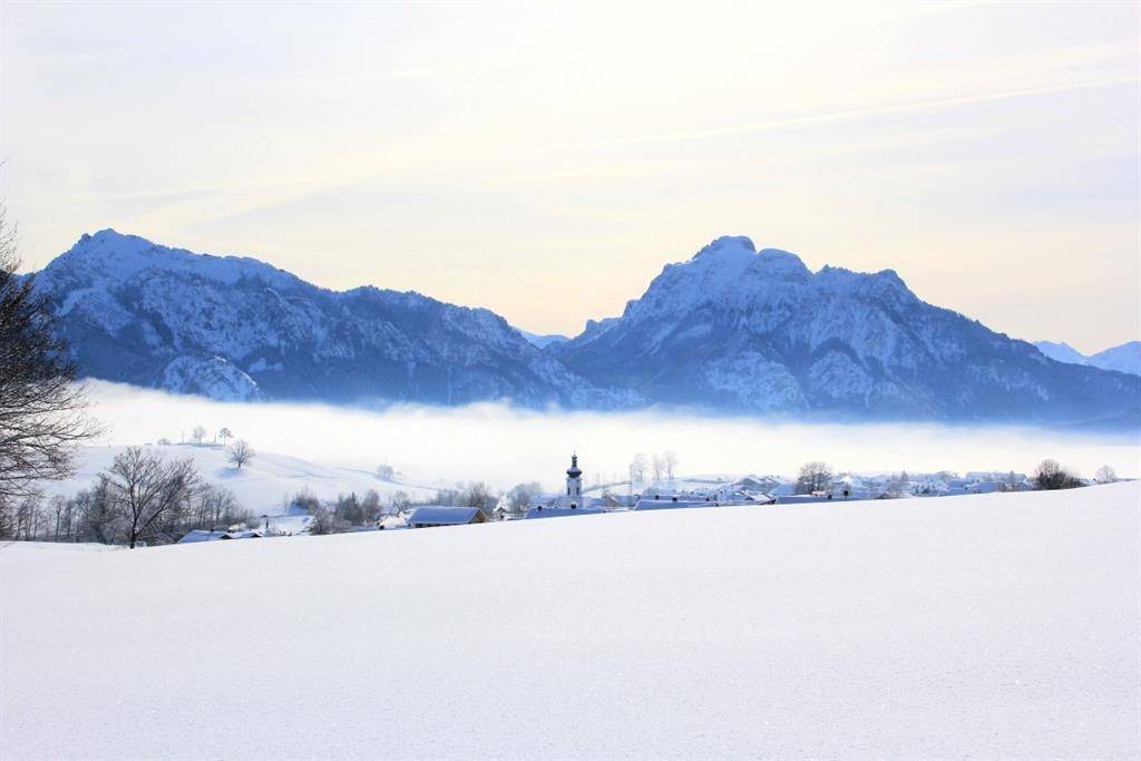Photo of Others in Rieden am Forggensee