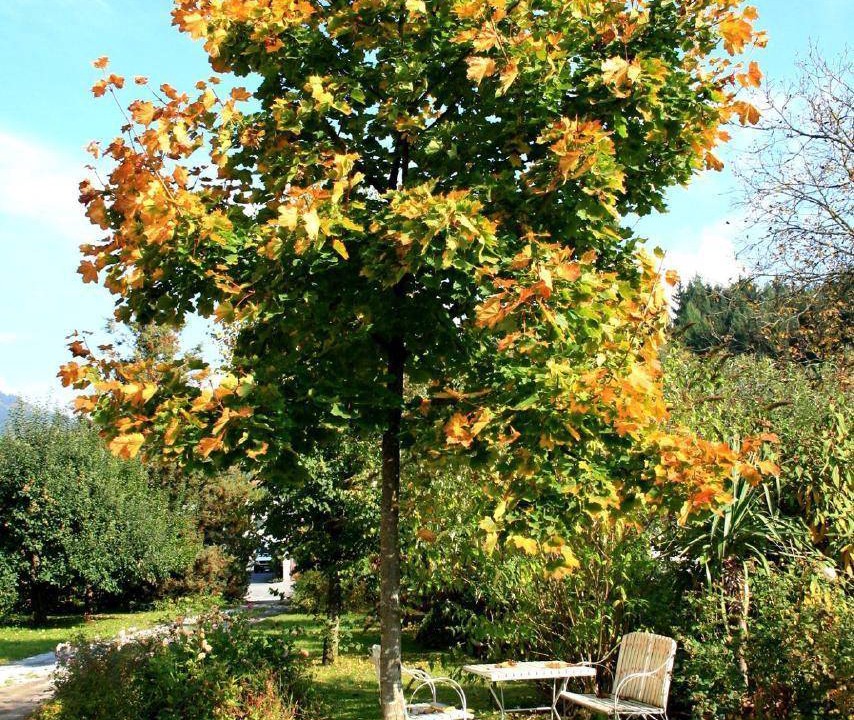 Photo of Outdoor in Bernried