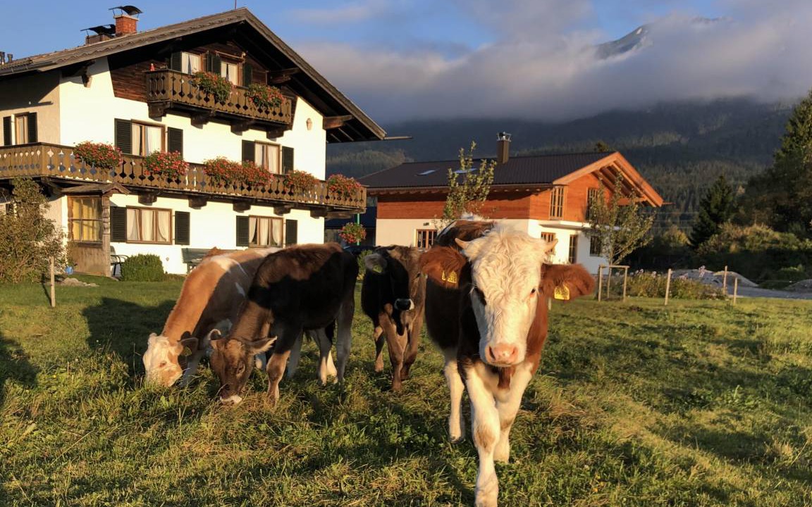 Photo of Others in Wallgau