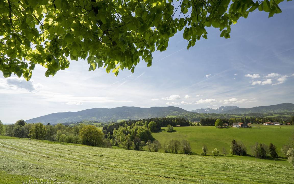 Photo of Others in Teisendorf