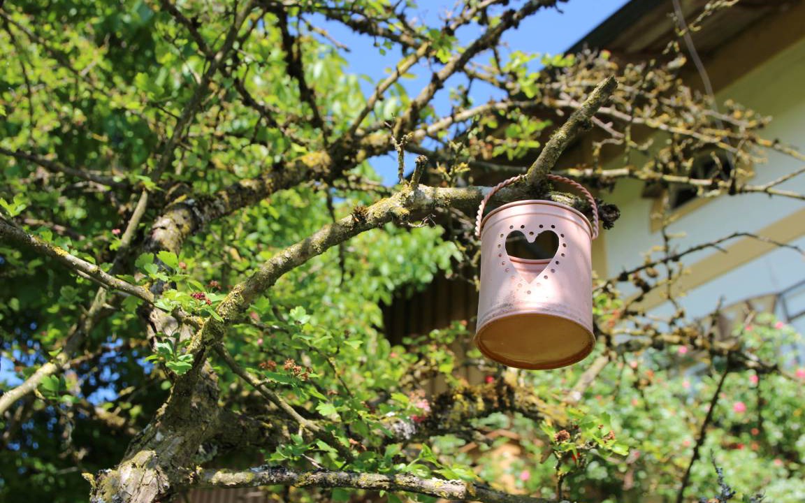 Photo of Others in Eggstatt