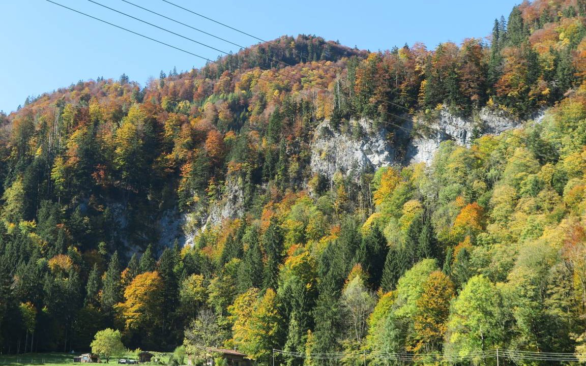 Photo of Others in Aschau im Chiemgau
