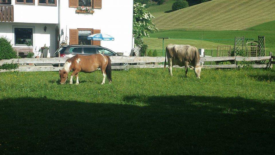 Photo of Others in Durchholzen