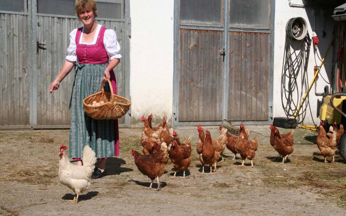 Photo of Others in Bad Endorf