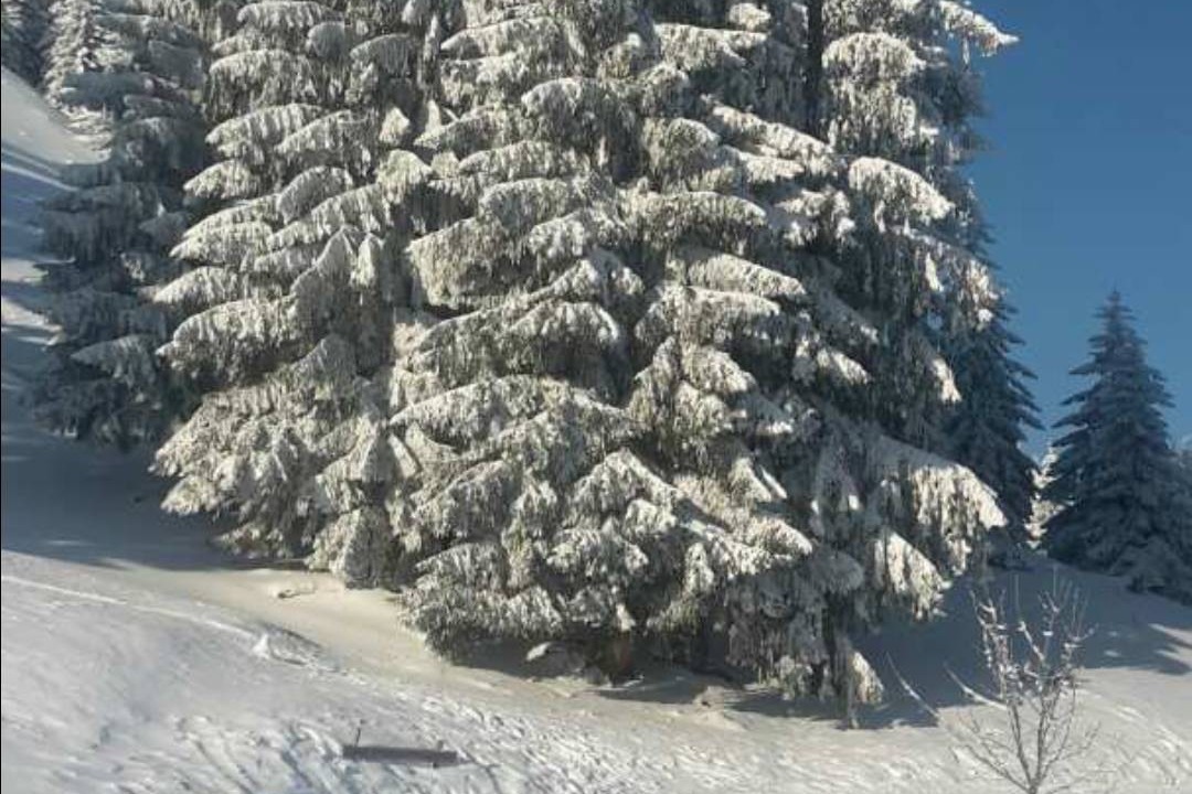 Photo of Others in Bad Oberdorf
