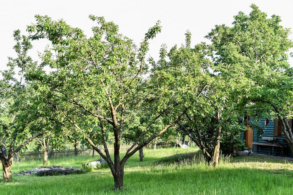 Photo of Outdoor in Traitsching