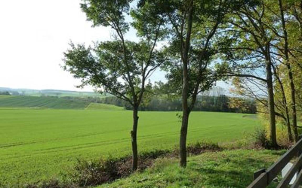 Photo of Others in Sulzfeld