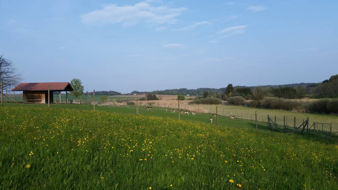 Photo of Others in Seeon-Seebruck