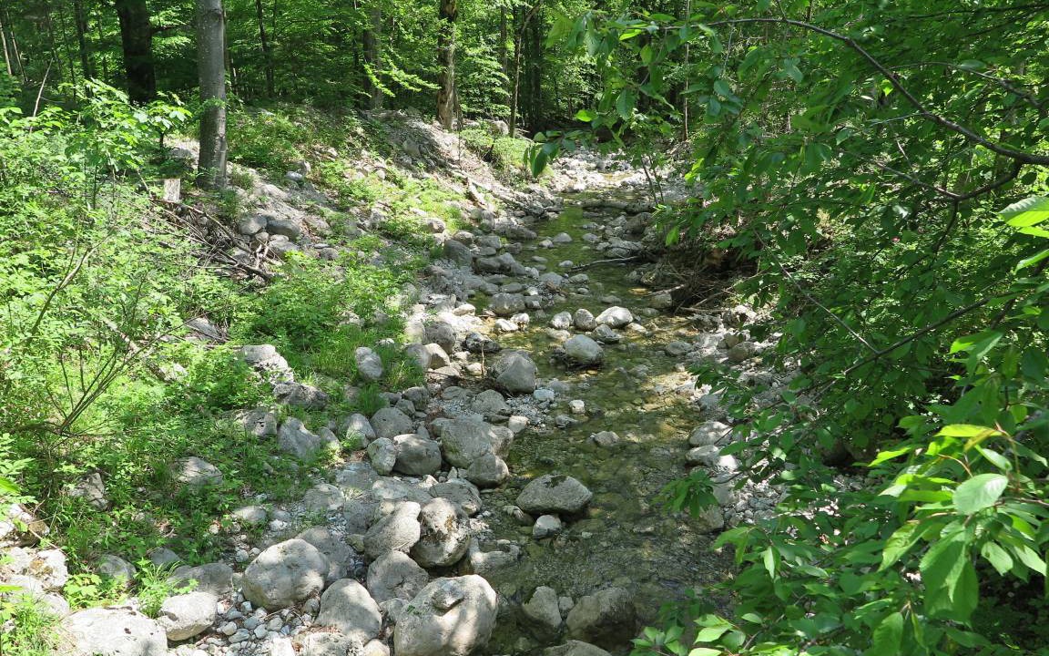 Photo of Others in Aschau im Chiemgau