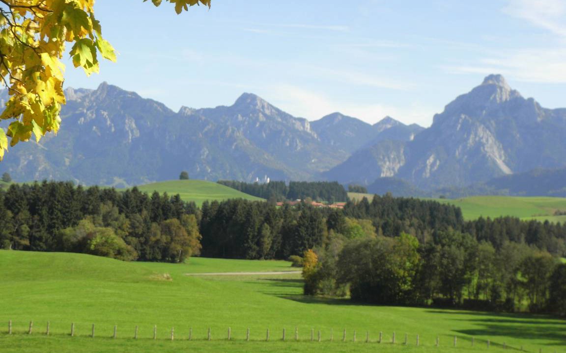 Photo of Others in Dietringen