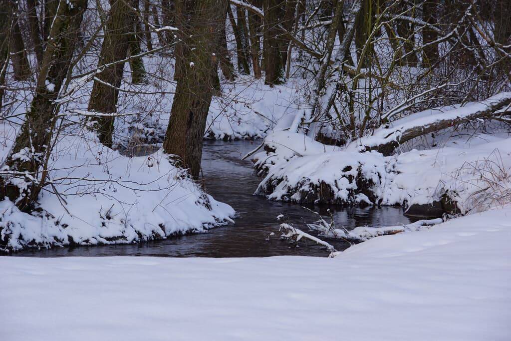 Photo of Others in Ruderszell