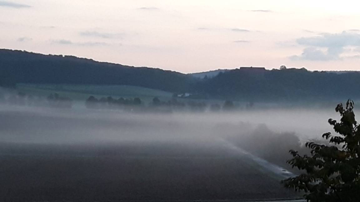 Photo of Others in Hofheim in Unterfranken