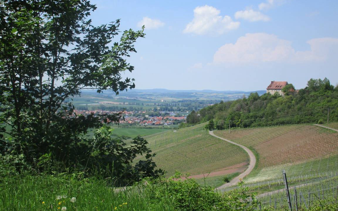 Photo of Others in Bad Windsheim