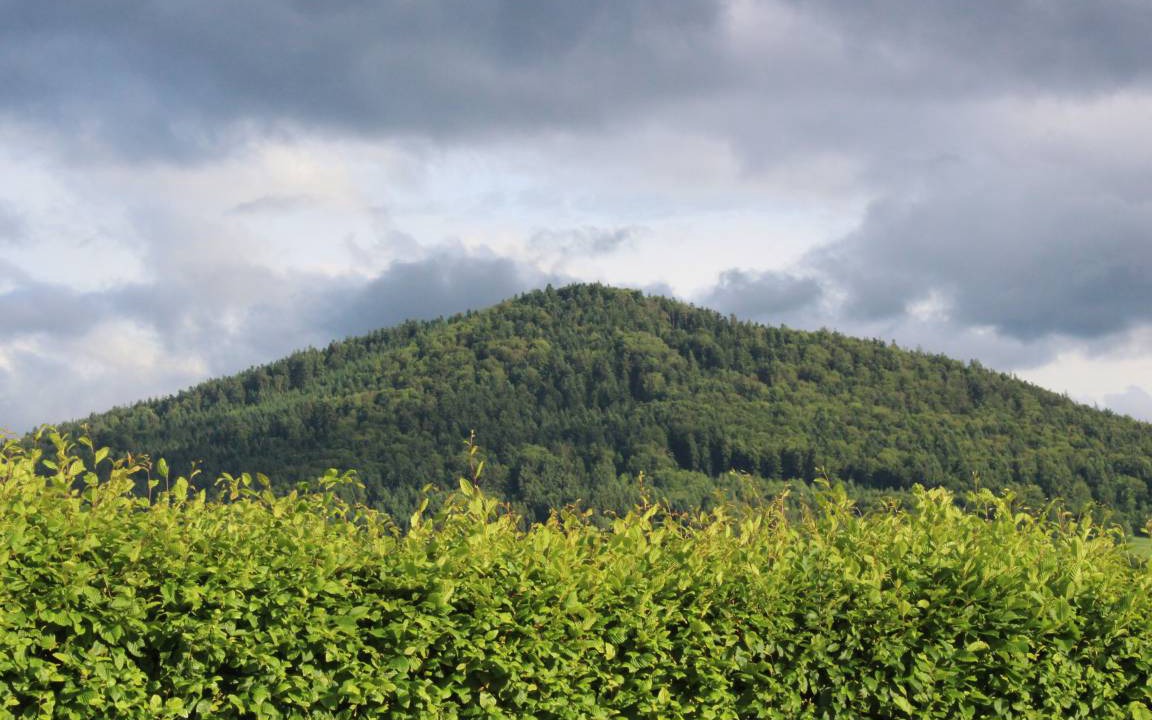 Photo of Others in Hauzenberg