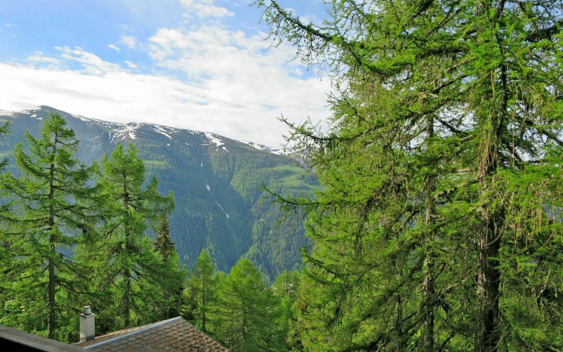 Photo of Others in Bellwald