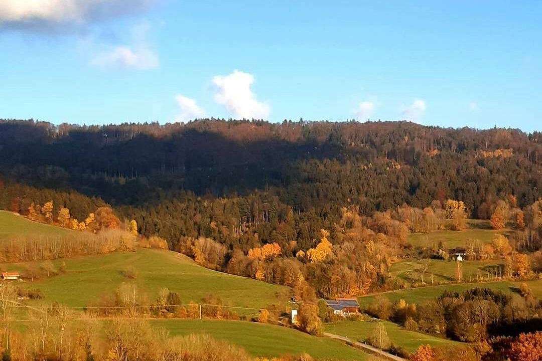 Photo of Others in Schwarzach