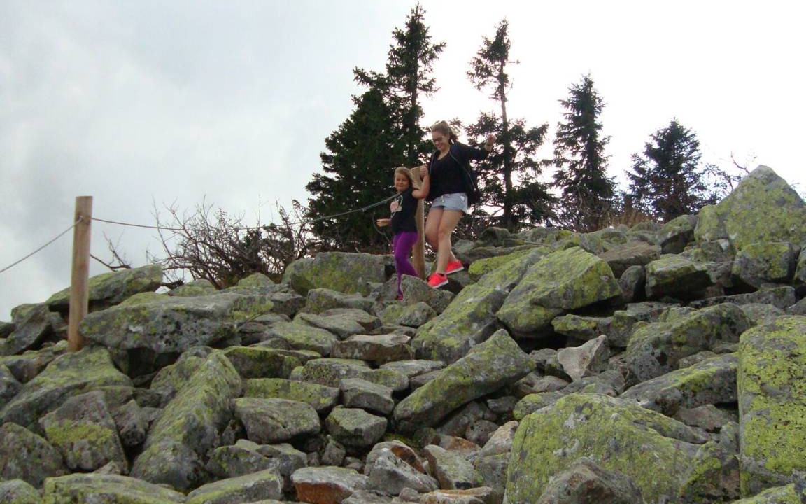 Photo of Others in Neuschoenau
