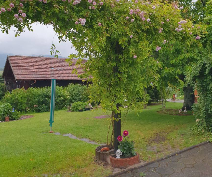 Photo of Others in Sandberg