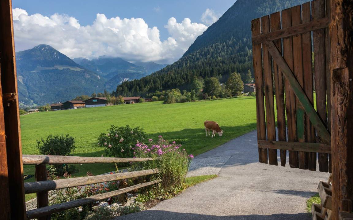 Photo of Others in Oberschonau