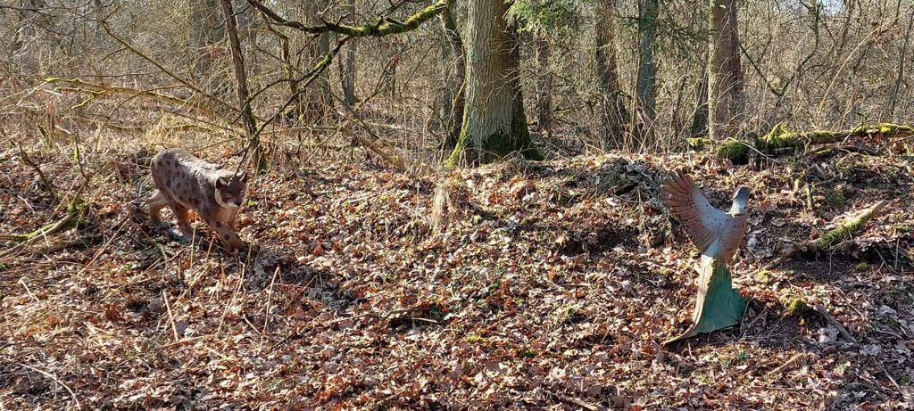 Photo of Others in Weihenzell