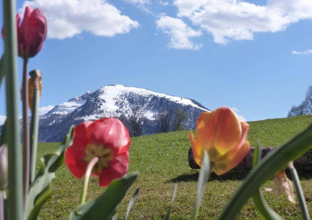 Photo of Outdoor in Birnbach