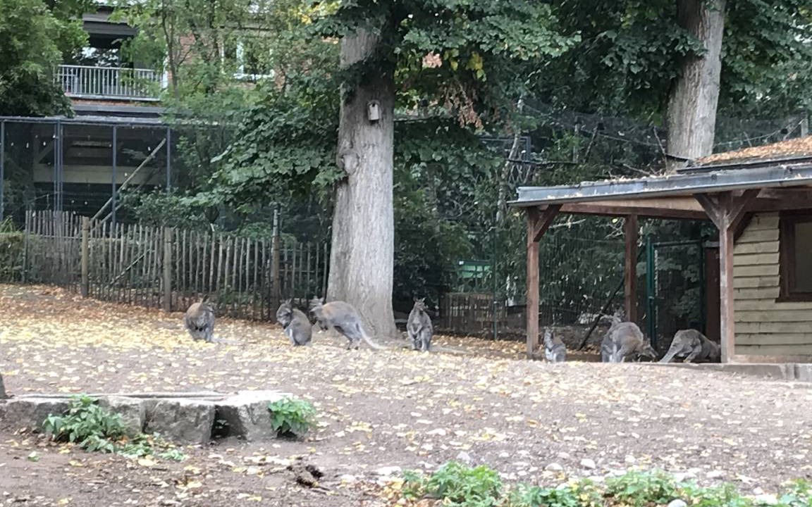 Photo of Others in Bayreuth