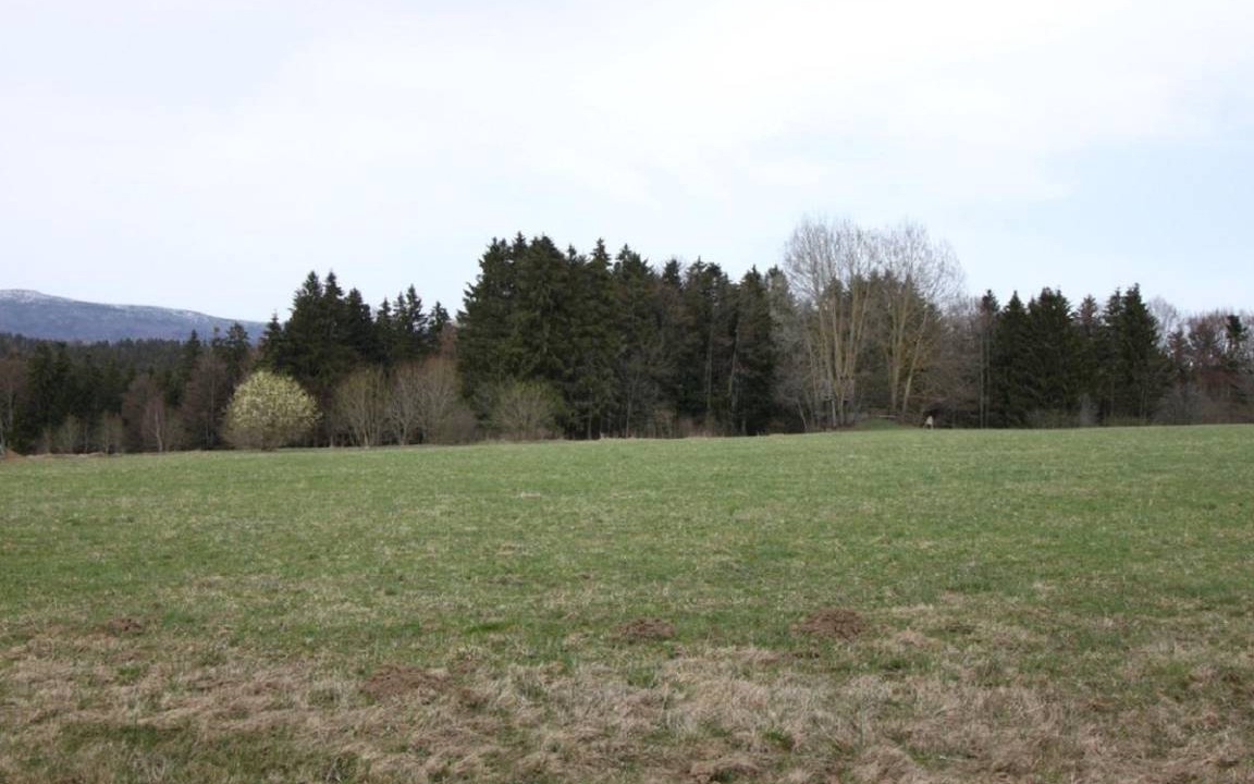 Photo of Others in St. Oswald