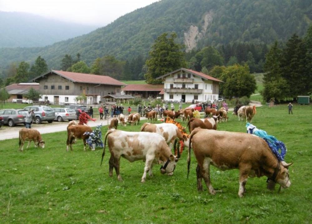 Photo of Others in Schleching