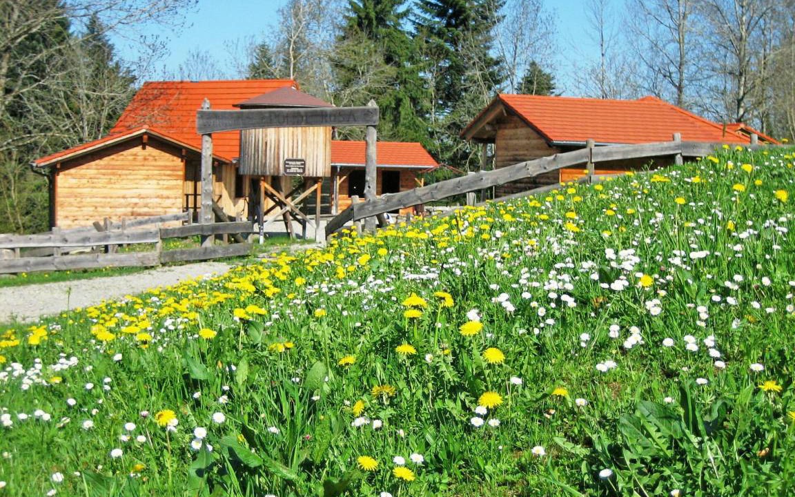 Photo of Others in Stockach
