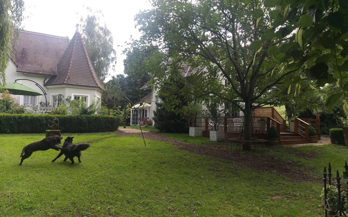 Photo of Others in Muersbach