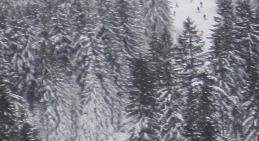 Photo of Others in Bischofsgruen