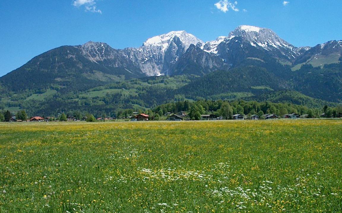 Photo of Others in Oberschonau
