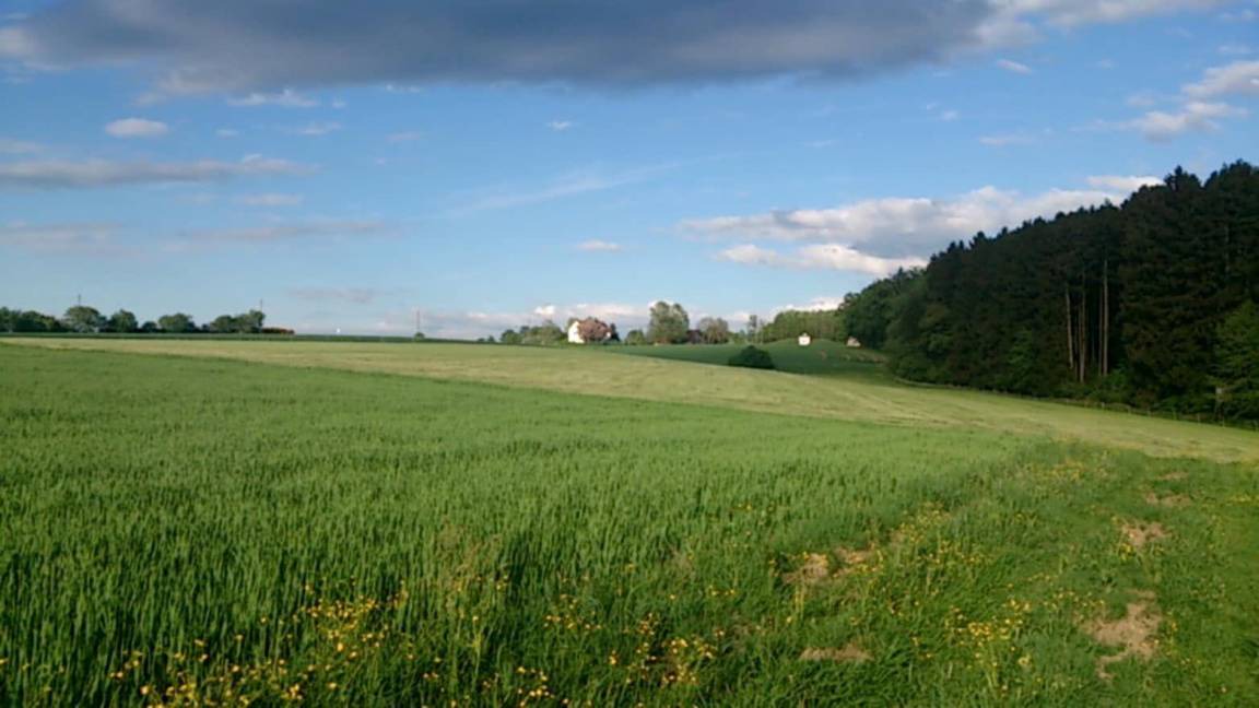 Photo of Others in Oberwaldbach