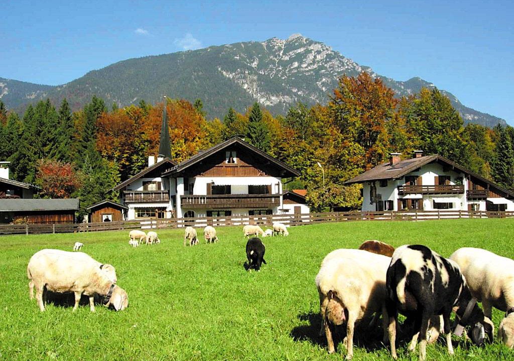 Photo of Others in Obergrainau