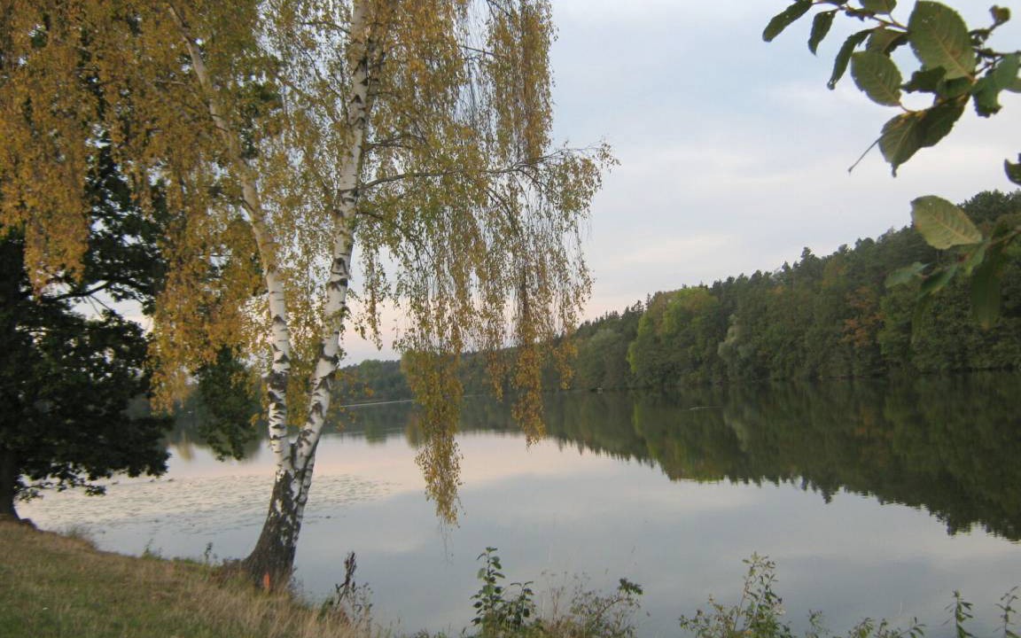 Photo of Others in Ehingen