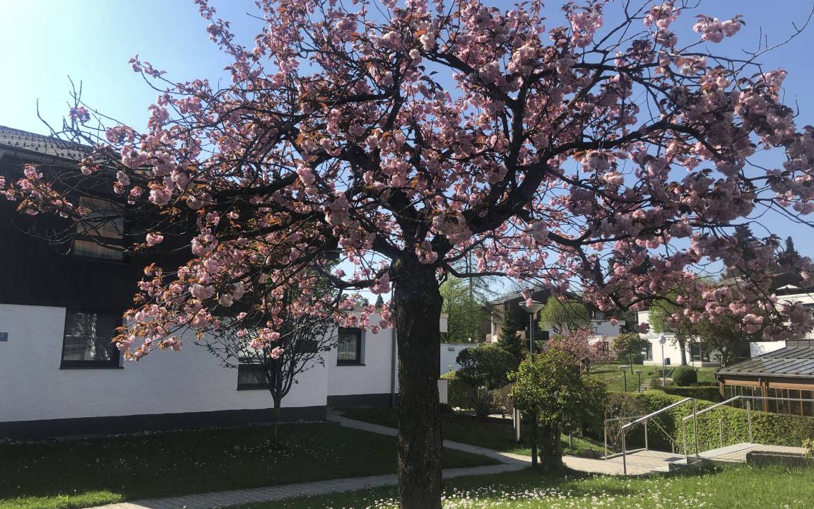 Photo of Others in Schliersee