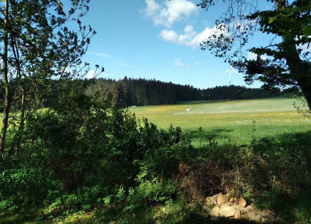 Photo of Others in Kuhberg